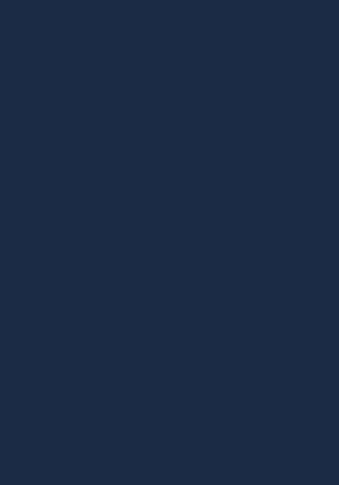 Ink navy